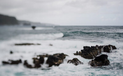 La protection de la nature : un impératif pour notre avenir